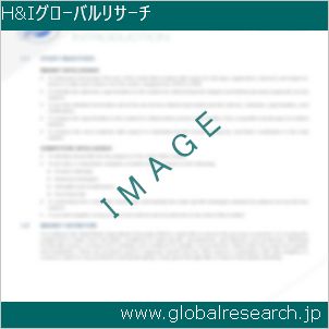 グローバルリサーチ調査レポートのイメージ
